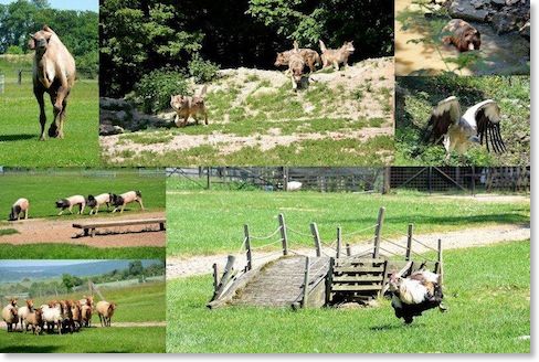 Alle Tiere sind begeistert über unsere Ankunft.
